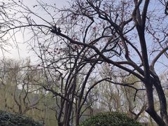 -白玉兰商务酒店(沈阳陆军总院店)