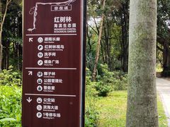 -福田红树林生态公园