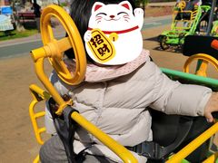 -野狸岛