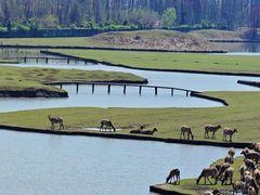 -溱湖国家湿地公园