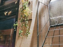 -超级神炭烤肉夜食(芥园西道店)