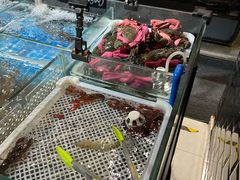 -百佳永辉超市(福田星河店)