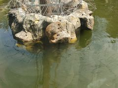 -合肥野生动物园