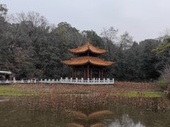 -富乐山