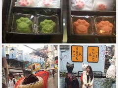 -猫咪博物馆(顶澳仔猫街店)