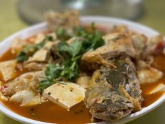 -煲来饱去冷水鱼