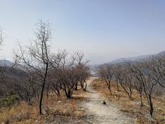 -鬼笑石后山停车场