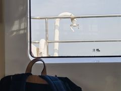 -中环4号渡轮码头