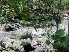 -神农架景区