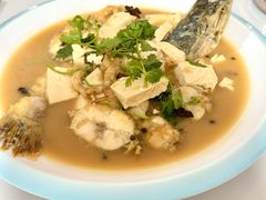 -煲来饱去冷水鱼