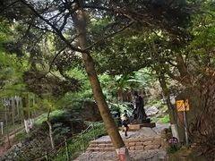 -莫干山风景区
