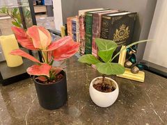 -港丽餐厅(高德置地店)