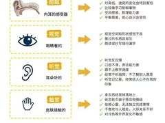 -金色雨林感统训练·专注力·语言认知·心理沙盘(天通苑校区)
