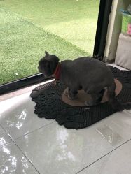 -EasyLady美甲沙龙