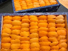 -鮨冠OMAKASE食べ放题(北京首店)