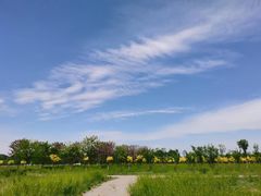 -仁和公园(顺义区)