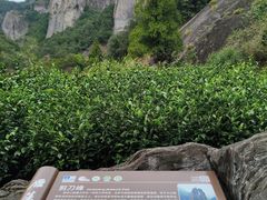 -雁荡山风景名胜区