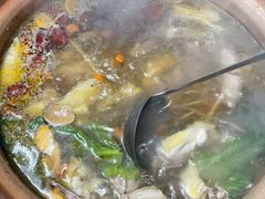 炭炉果鸡煲-威邵鸡煲(西华路总店)