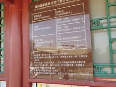 -北京鹫峰国家森林公园