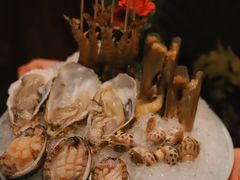 -金龙·打边炉(南京西路店)