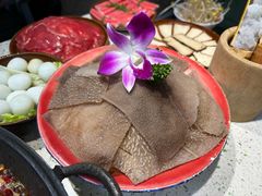 -龙厂长老火锅(抚琴店)