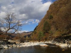 -黑河国家森林公园