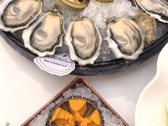 -斯普汇生蚝牛排馆(中骏世界城店)