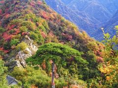 -少华山国家森林公园