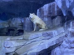 -多彩贵州城极地海洋世界