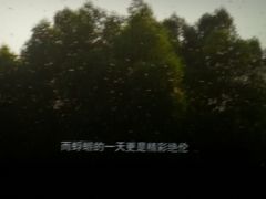-幸福蓝海国际影城(烟台大悦城IMAX店)