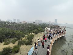 -霞山观海长廊