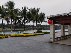 -万绿园