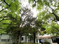 -上海宋庆龄故居纪念馆