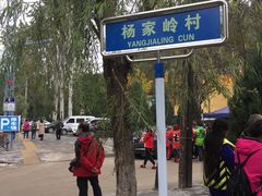 -延安杨家岭革命旧址