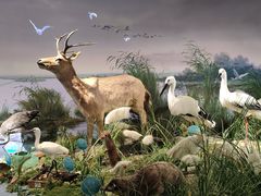 -湖南省地质博物馆