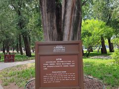 -北京市劳动人民文化宫(太庙)