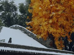 -西安市广仁寺