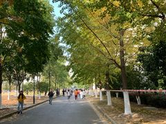 -江南大学(蠡湖校区)