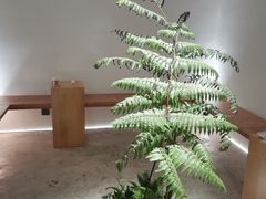 -光作面包Voila Lumiere(中山店)