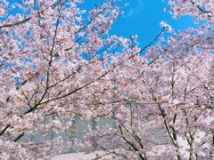 -龙美术馆西岸馆-停车场