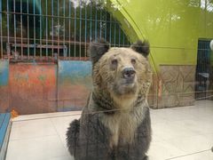 -荆州中山公园动物园