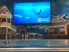 -西安曲江海洋极地公园