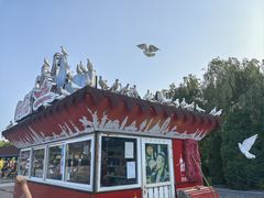 -泰达航母主题公园