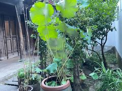 -院子餐厅·大锅菜·老杭帮(桥西直街店)