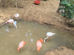 -韩香福烤肉庄园(荣成店)