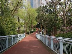 -陆家嘴金融服务广场