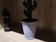 -梵猫·新养生(福州万象城店)