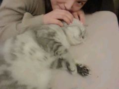 android_upload_pic-猫色咖啡·猫咖