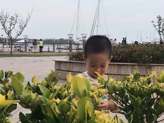 -日照世帆赛基地