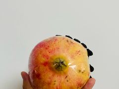 -叶氏兄弟果业(大连鲁迅店)